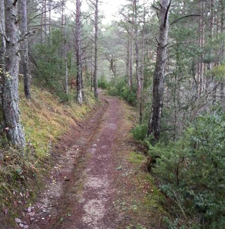 La Comarca de la Jacetania promueve un proyecto de Acondicionamiento de...